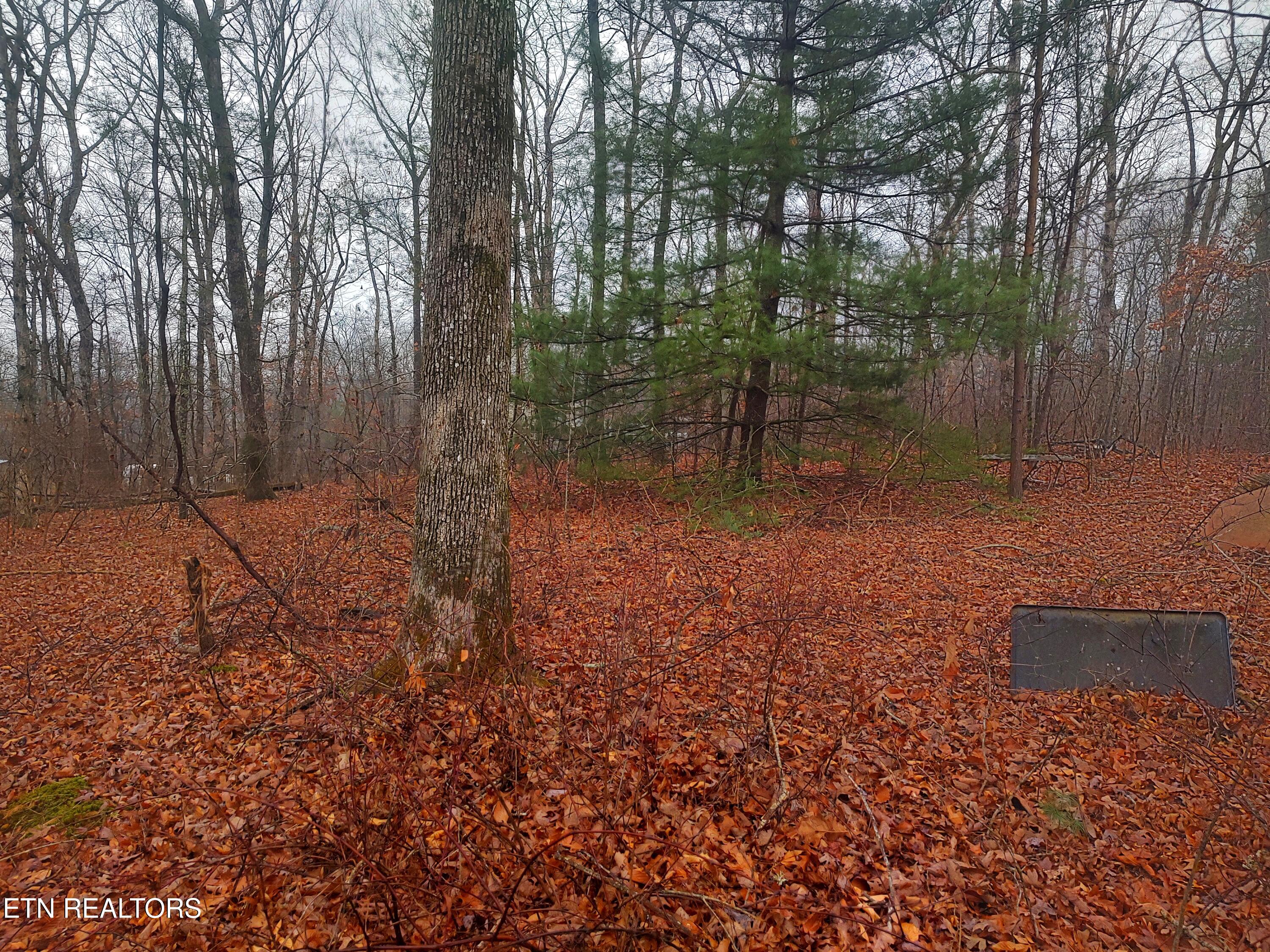 4.9-acres Raccoon Ridge Road Spring City, TN 37381 - Photo 3 of 27 1000006261