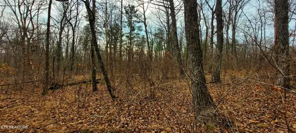 $59,000 | 4.9-acres Raccoon Ridge Road, Spring City, TN 37381