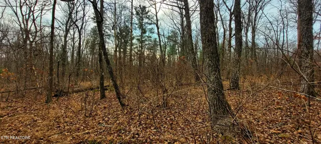 $65,000 | 4.9-acres Raccoon Ridge Road, Spring City, TN 37381