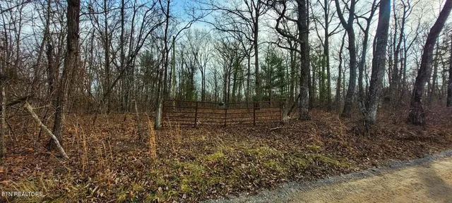 $65,000 | 4.9-acres Raccoon Ridge Road, Spring City, TN 37381
