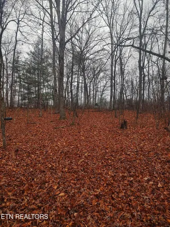$59,000 | 4.9-acres Raccoon Ridge Road, Spring City, TN 37381