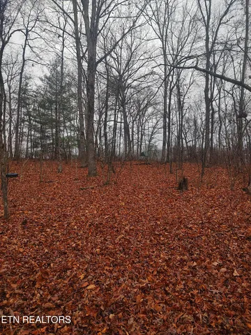 $65,000 | 4.9-acres Raccoon Ridge Road, Spring City, TN 37381