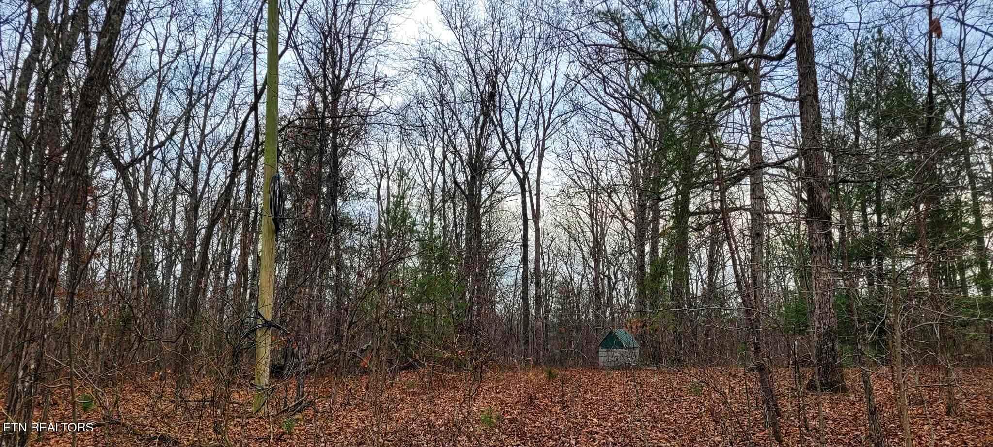 4.9-acres Raccoon Ridge Road Spring City, TN 37381 - Photo 10 of 27 1000006314