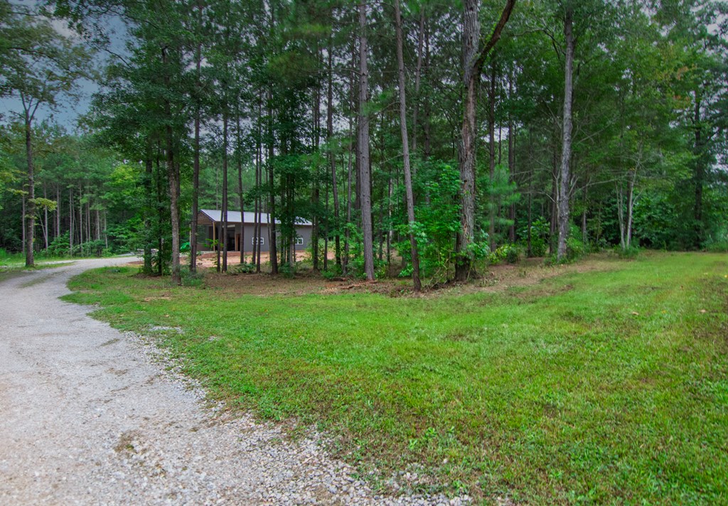 306 Voorhees Road Hamilton, GA 31811 - Photo 79 of 100 Gallery Image 79