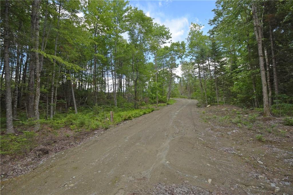 Off Back Parkman Road Abbot, ME 04406 - Photo 9 of 10 road