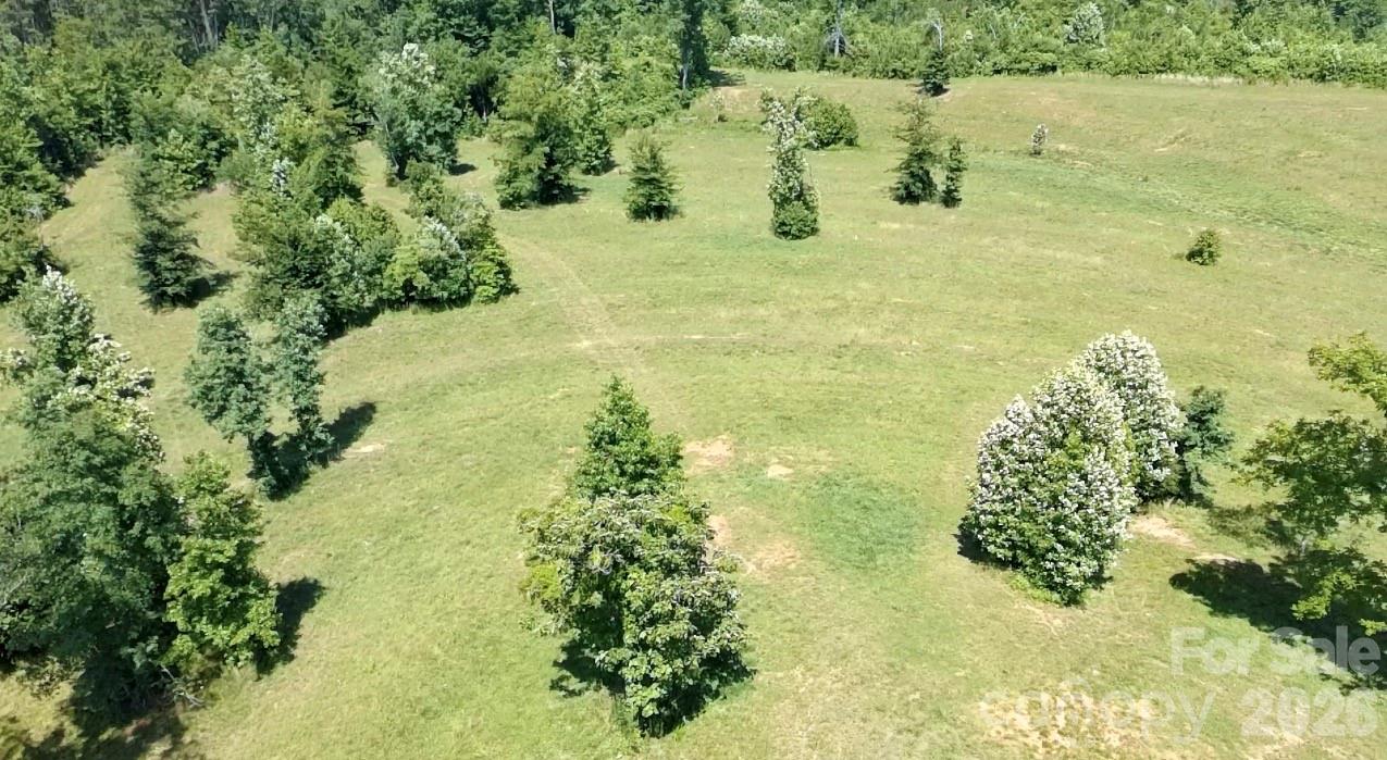 473 McEntire Road Tryon, NC 28782 - Photo 13 of 18