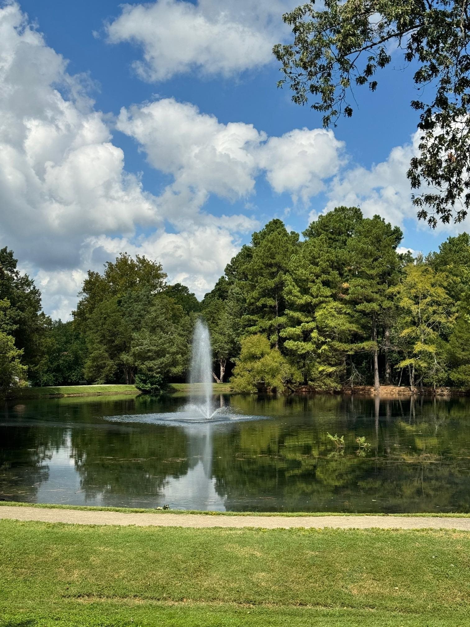 8091 Ridgetown Lane Memphis, TN 38138 - Photo 38 of 39