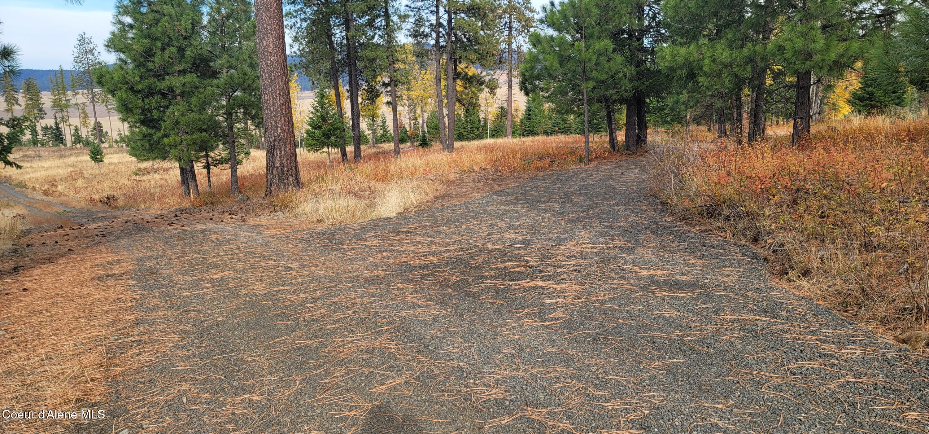 Nka Nka Ranch Road Plummer, ID 83851 - Photo 11 of 13 1000012799