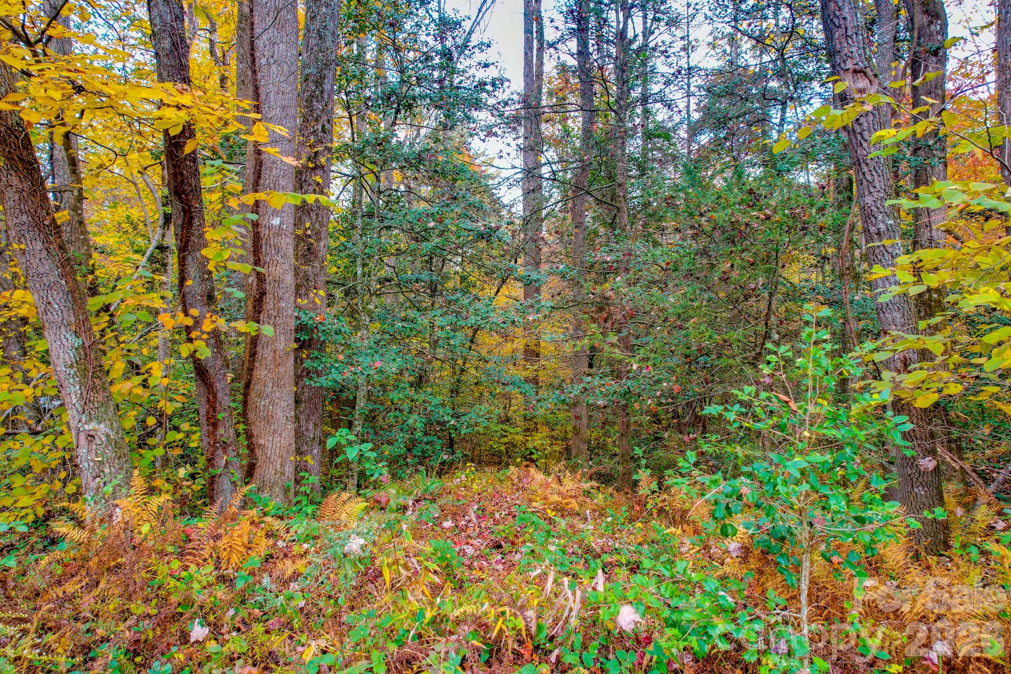 0 Grandin Road, Unit 2 Lenoir, NC 28645 - Photo 5 of 15