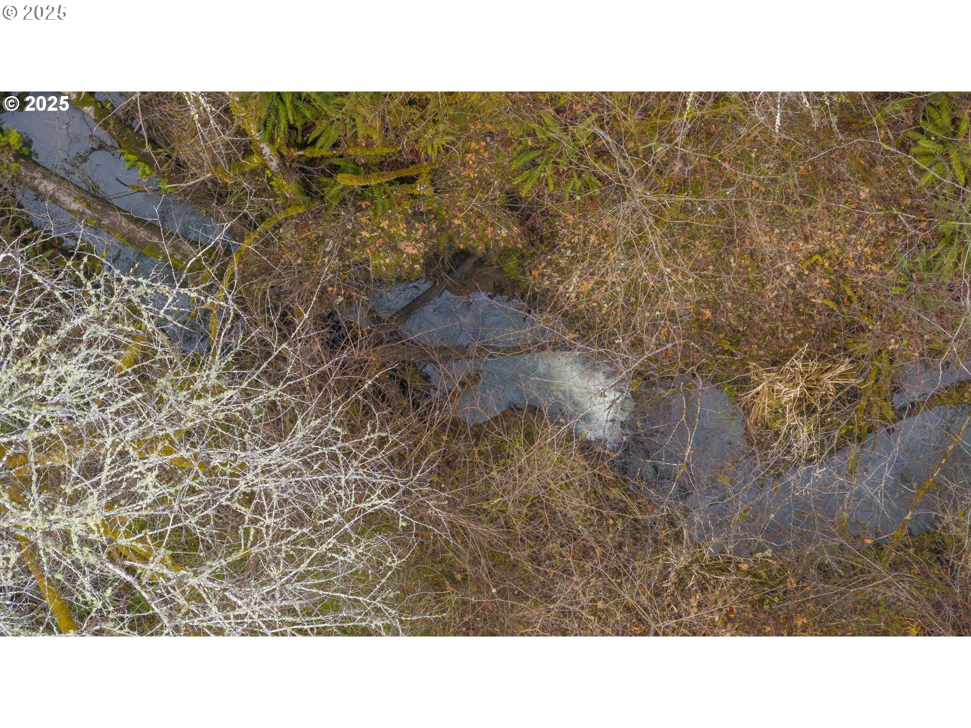 0 Northwest Panther Creek Road Yamhill, OR 97148 - Photo 13 of 28 Creek