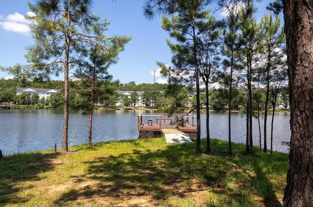 a view of swimming pool with lounge chair