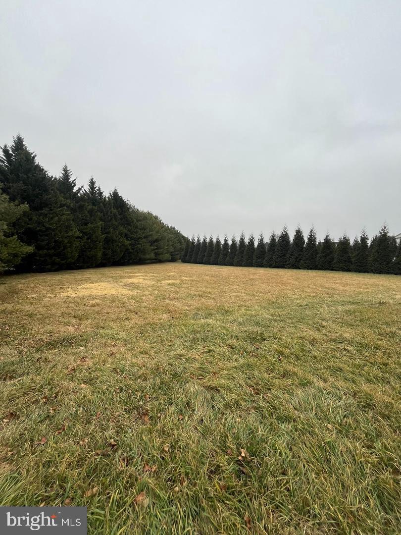 20325 Wiley Court Laytonsville, MD 20882 - Photo 5 of 8