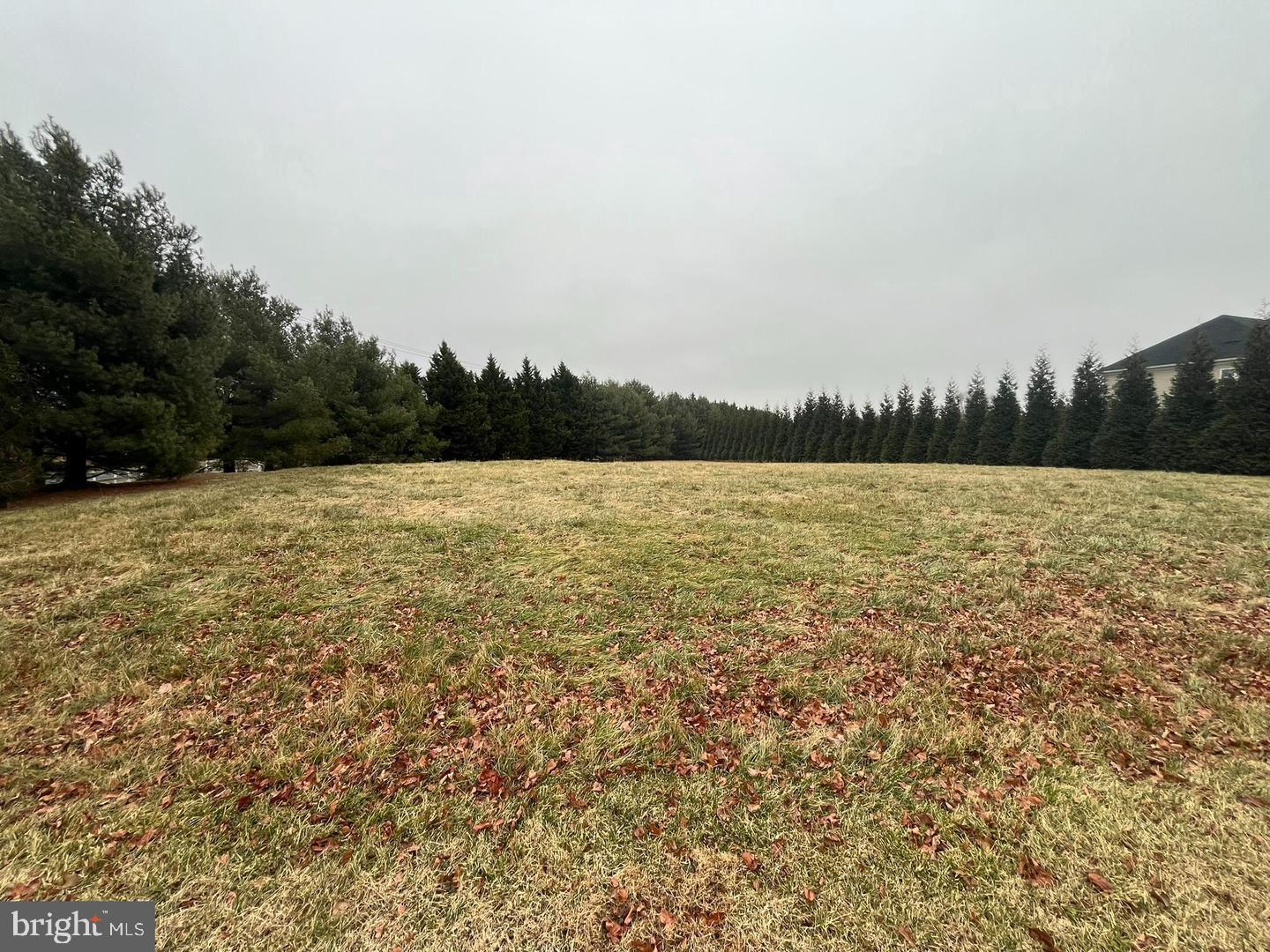 20325 Wiley Court Laytonsville, MD 20882 - Photo 7 of 8 a view of outdoor space with swimming pool and trees in the background