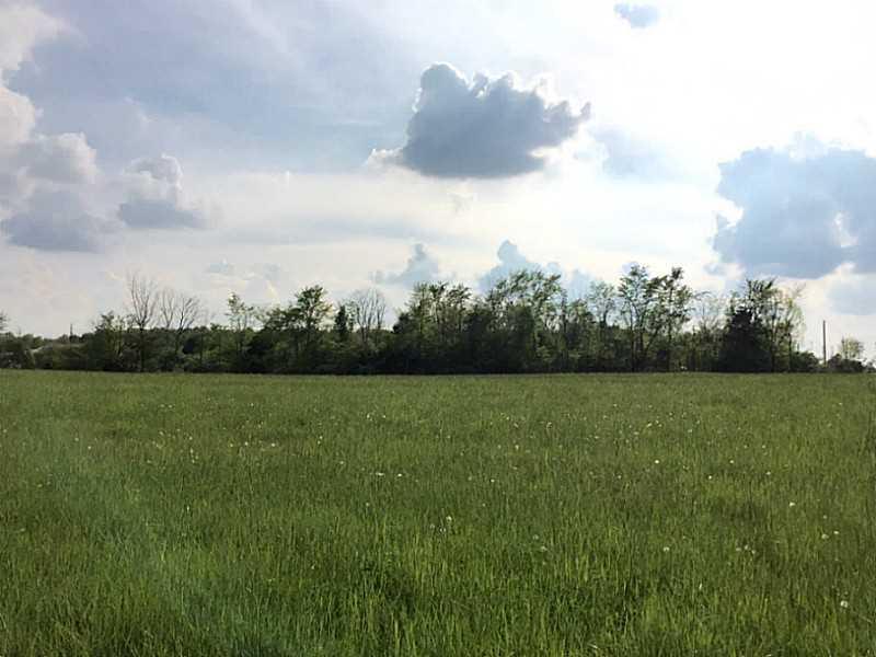 0 Town Line-Lima Road Wapakoneta, OH 45895 - Photo 3 of 5