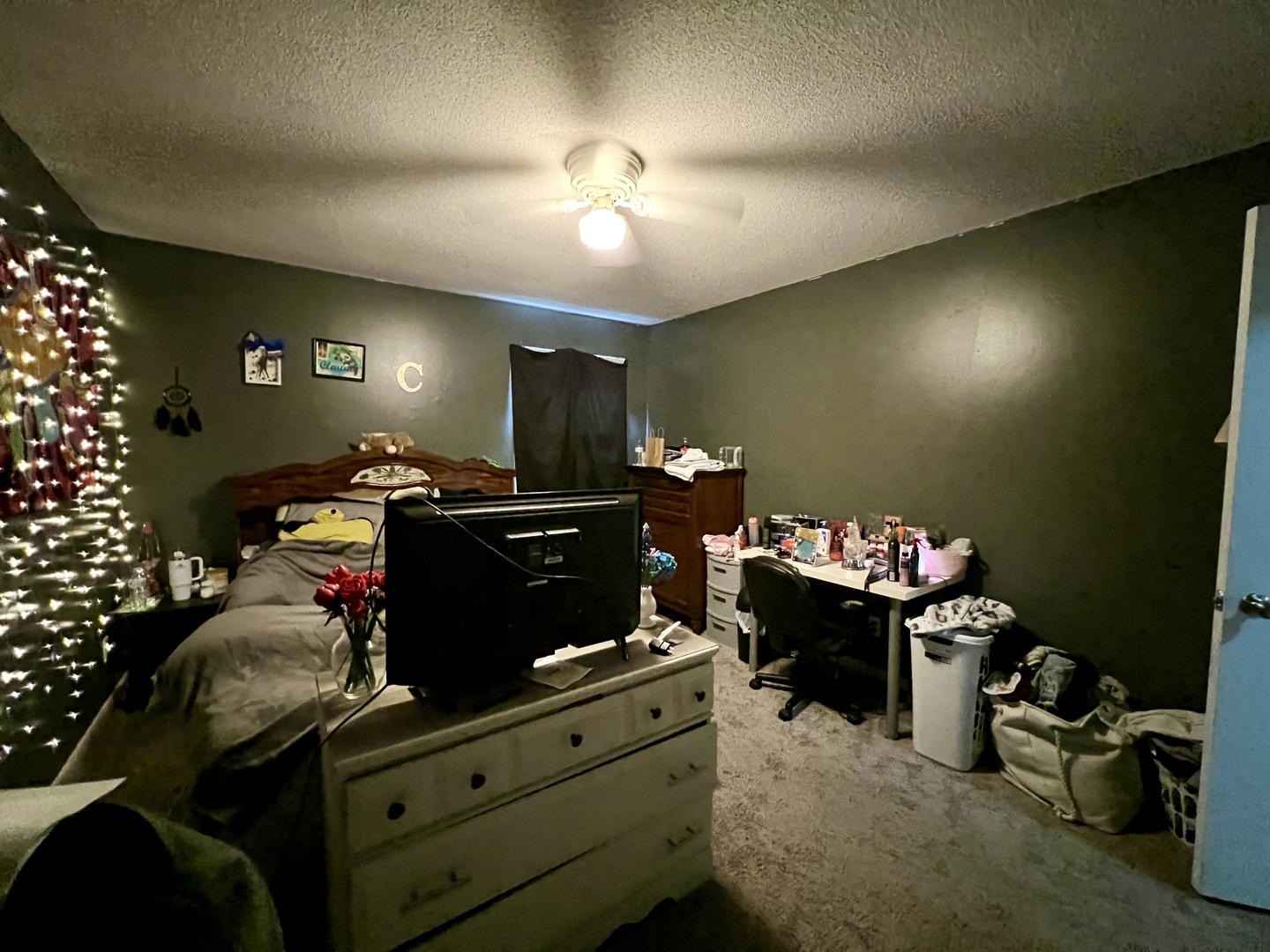 111 Magnolia Drive Villa Grove, IL 61956 - Photo 24 of 37 a room with a large bed and dresser with mirror