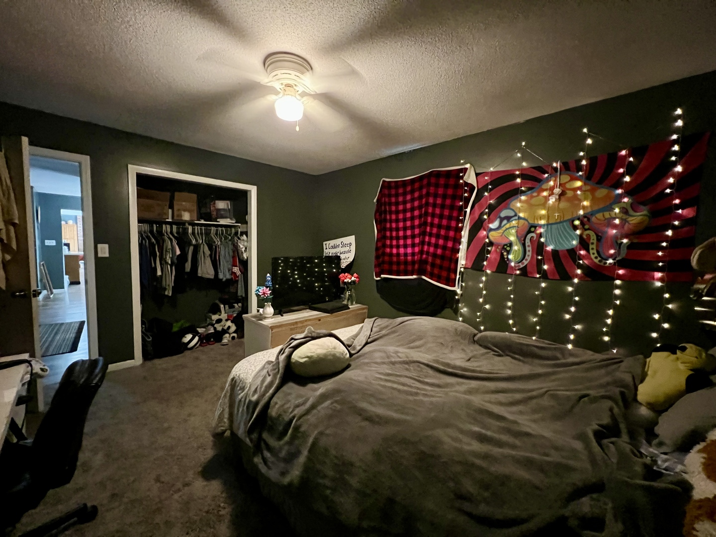 111 Magnolia Drive Villa Grove, IL 61956 - Photo 25 of 37 a bedroom with bed and a chandelier