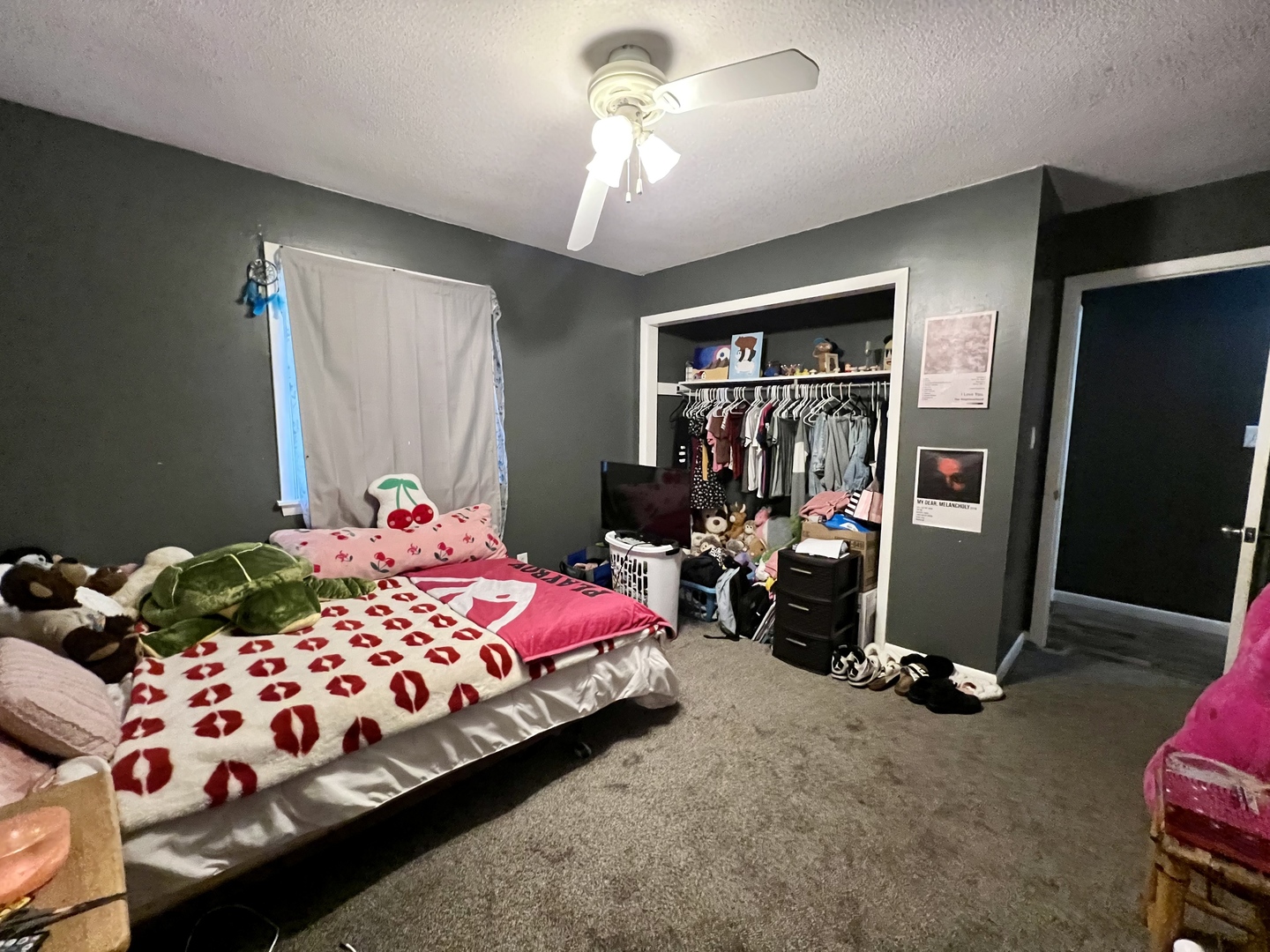 111 Magnolia Drive Villa Grove, IL 61956 - Photo 27 of 37 a bedroom with bed and a window