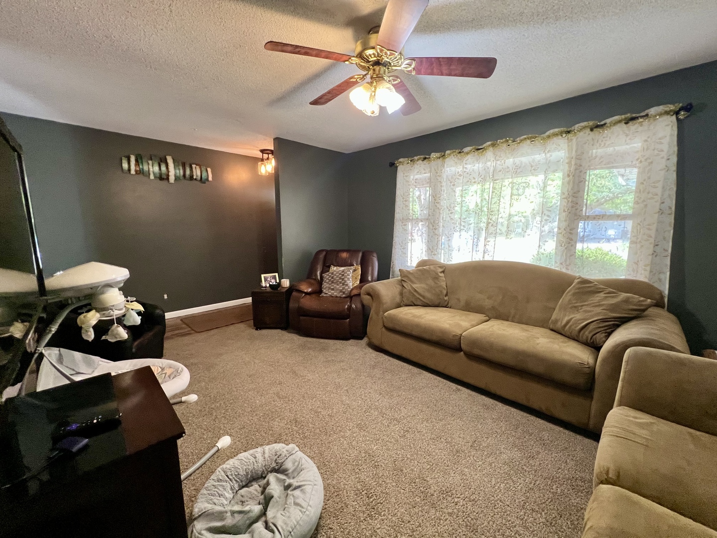 111 Magnolia Drive Villa Grove, IL 61956 - Photo 9 of 37 a living room with furniture and a large window