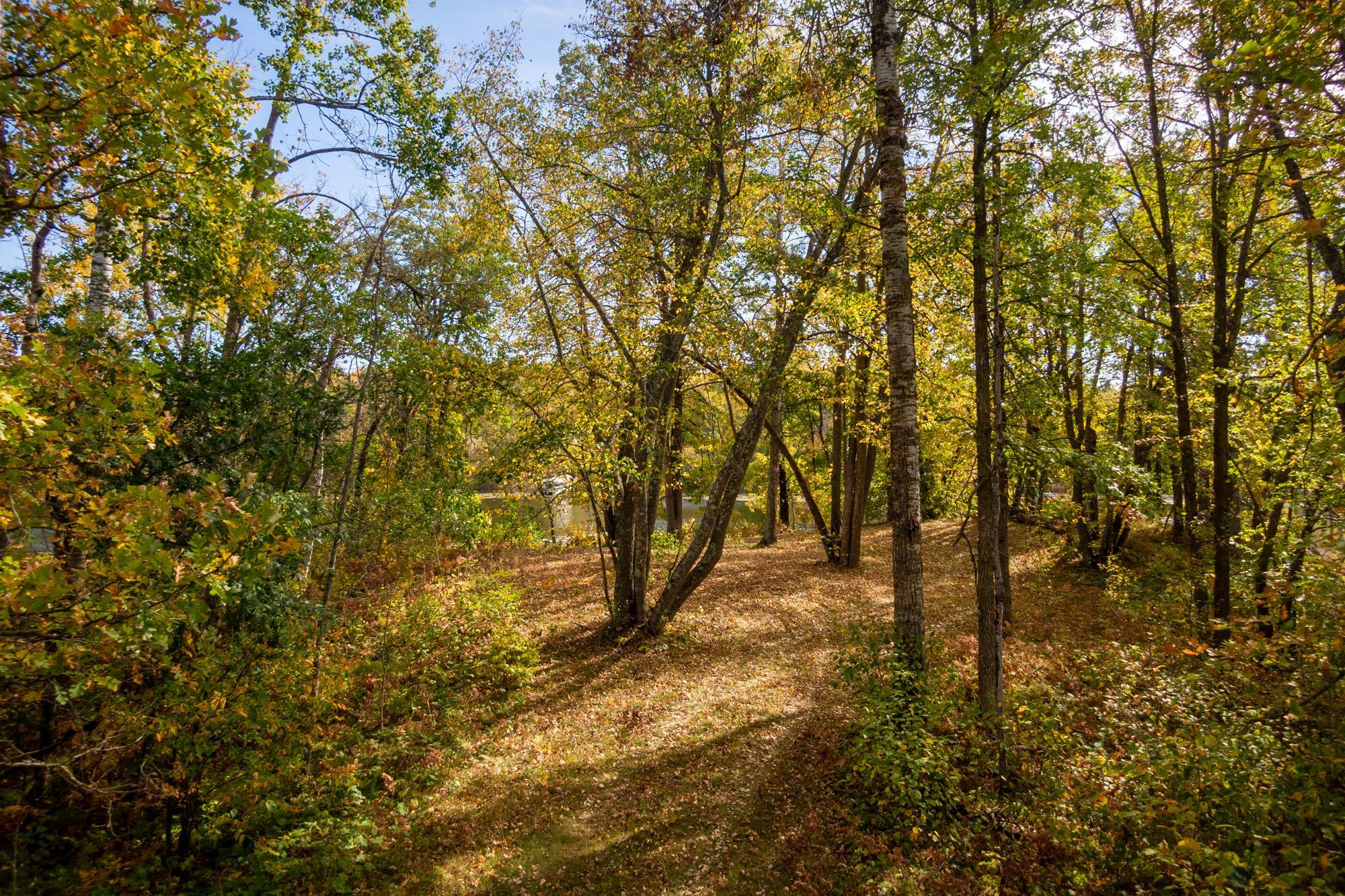 Tract B Brietbach Road Park Rapids, MN 56470 - Photo 17 of 26