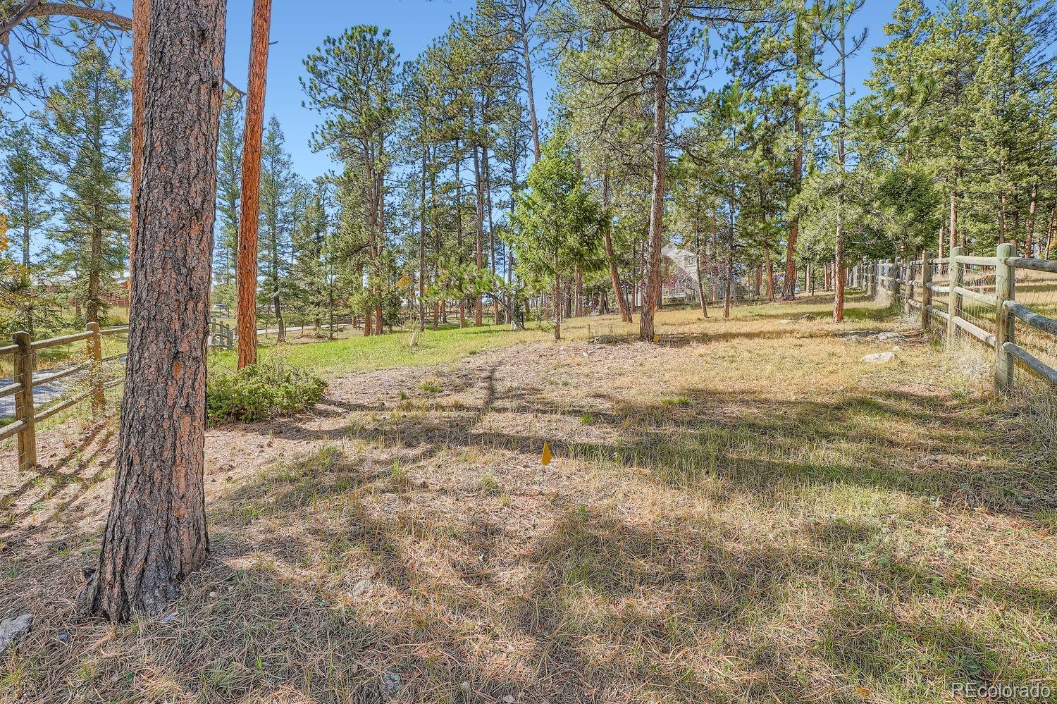 13637 Wamblee Trail Conifer, CO 80433 - Photo 26 of 30 a view of dirt yard with a trees