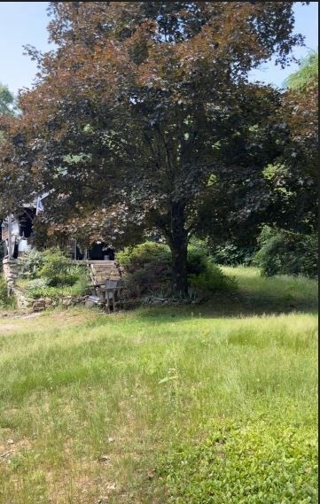 196 Sczygiel Road Ware, MA 01082 - Photo 3 of 9 a backyard of a house with lots of green space