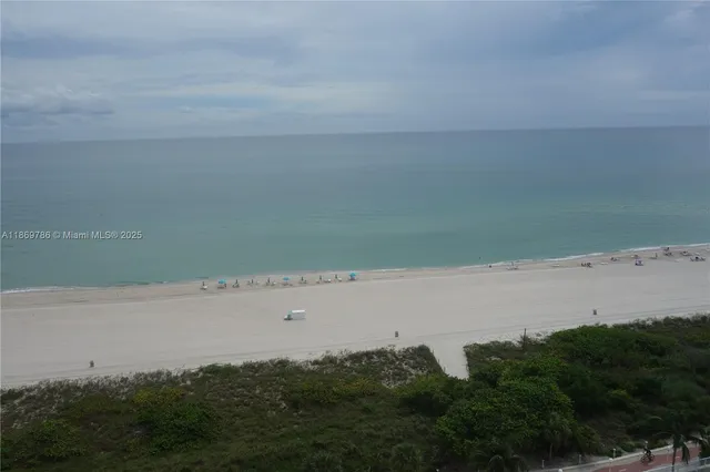 a white toilet sitting next to a shower curtain