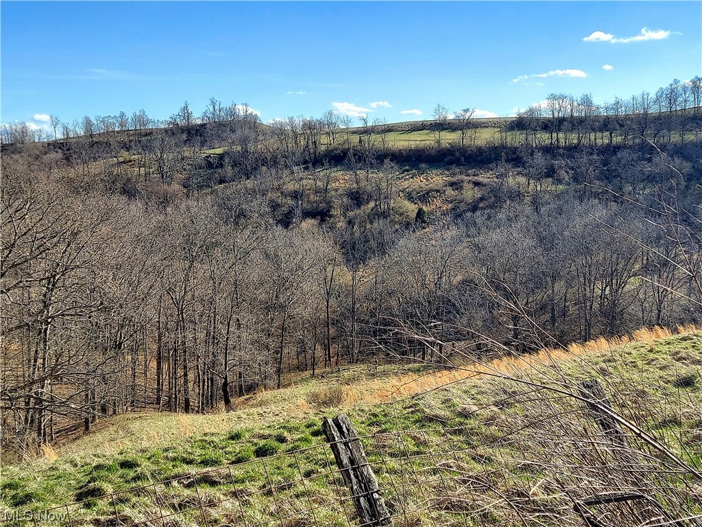 Peewee Hill Road Sandyville, WV 25275 - Photo 13 of 25