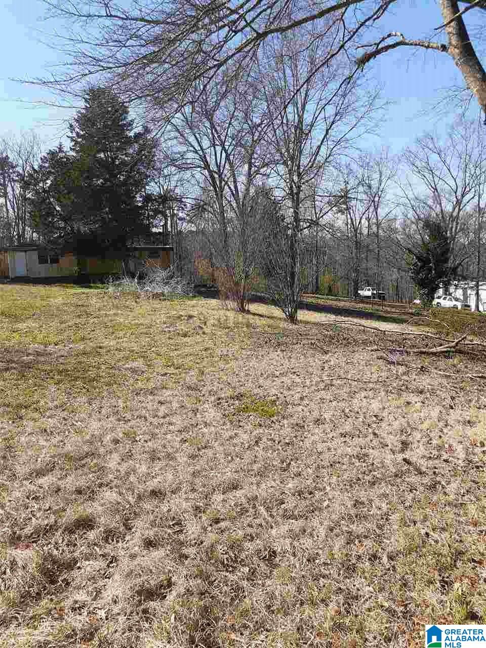 115 Rowland Road, Unit 115 Ashville, AL 35953 - Photo 3 of 4
