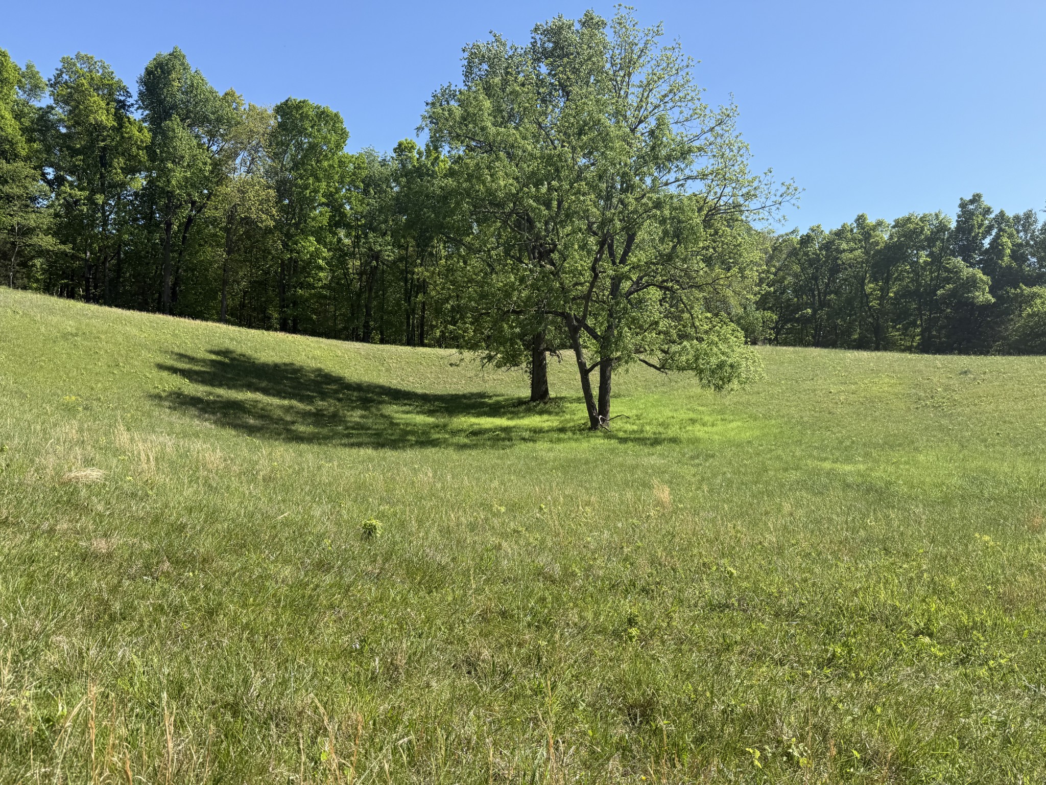 540 Powell Hollow Road Tullahoma, TN 37388 - Photo 87 of 99 Gallery Image 87