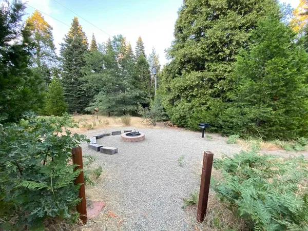 a view of outdoor space with trees