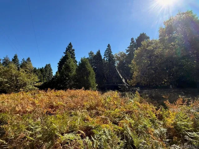 $799,000 | 22248 Crestline Road, Palomar Mountain, CA 92060