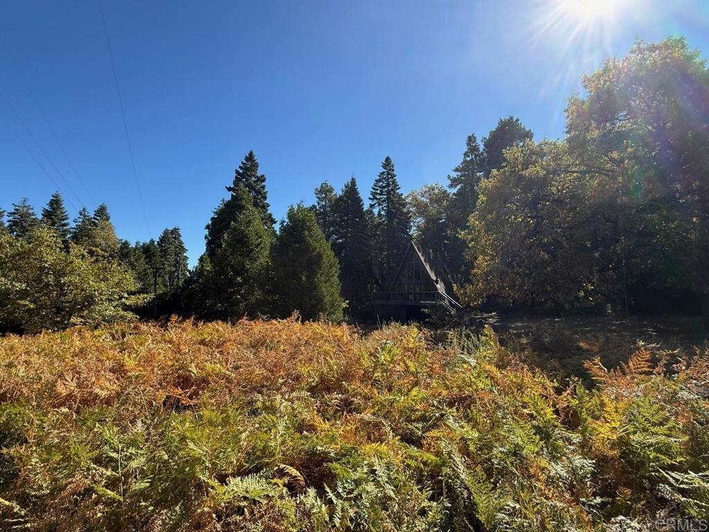 22248 Crestline Road Palomar Mountain, CA 92060 - Photo 51 of 57