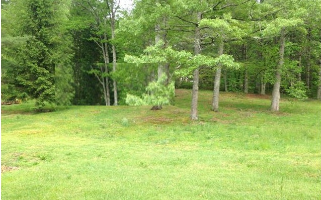 21 Horvath Road Murphy, NC 28906 - Photo 1 of 1 Main View