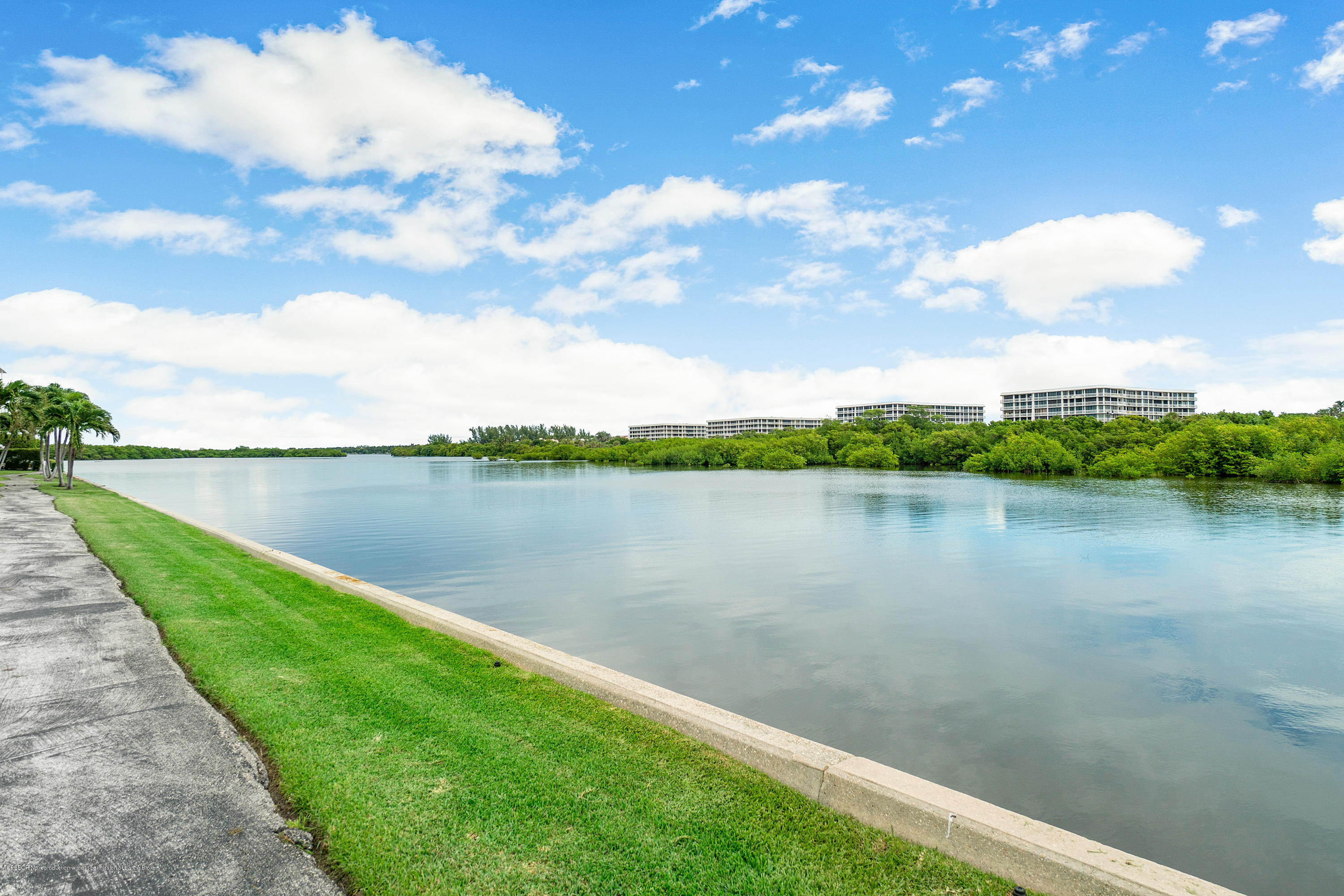 a view of a lake from a yard