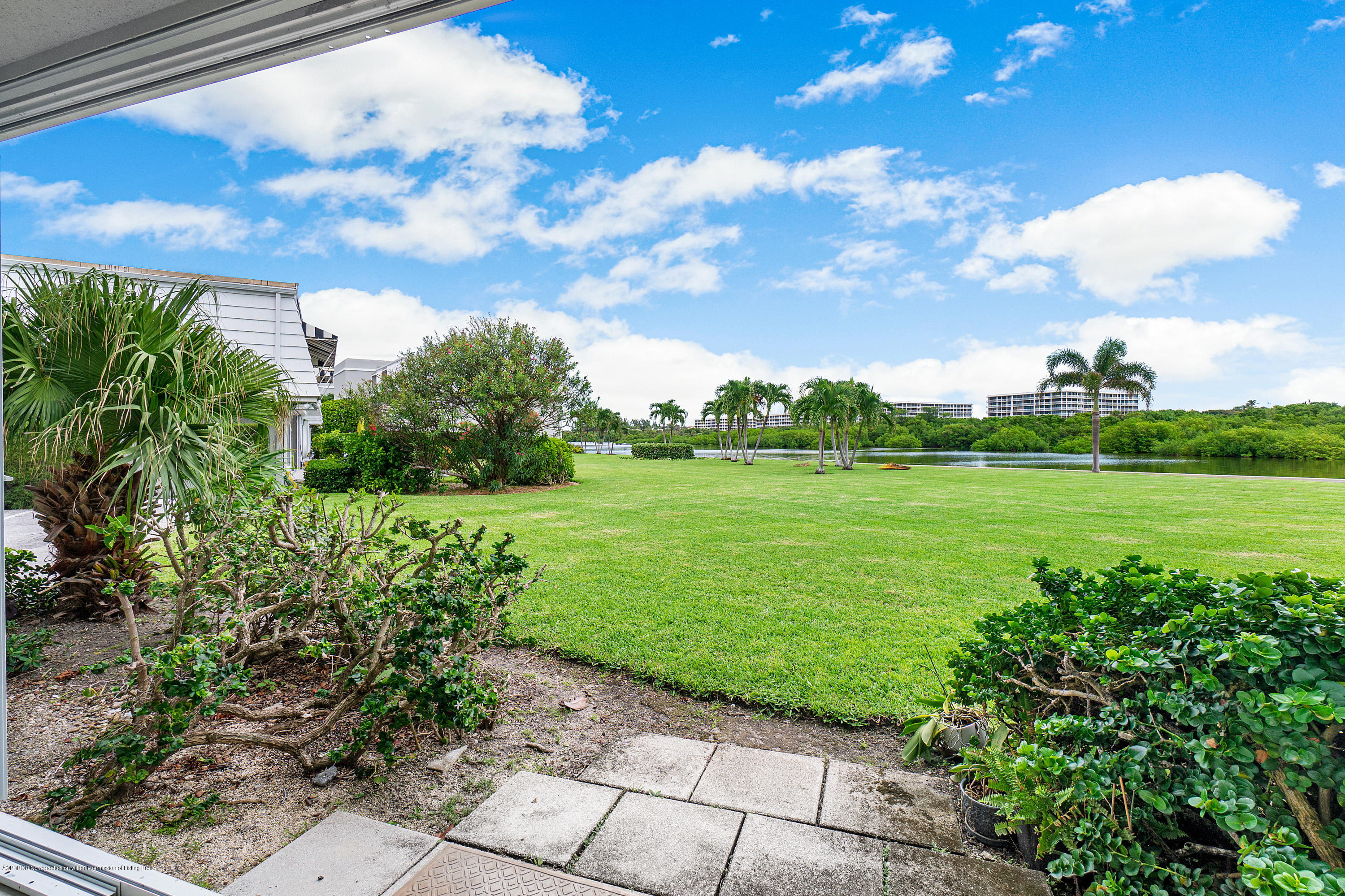 2185 Ibis Isle Road, Unit 40 Palm Beach, FL 33480 - Photo 7 of 28 a view of a garden with plants and a large tree