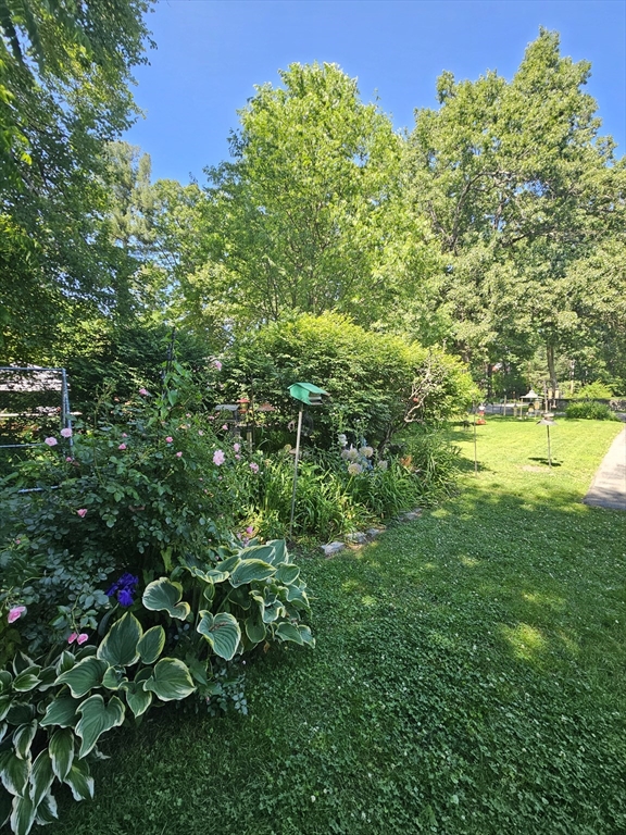9 Pinecrest Road Littleton, MA 01460 - Photo 11 of 16 Gallery Image 11