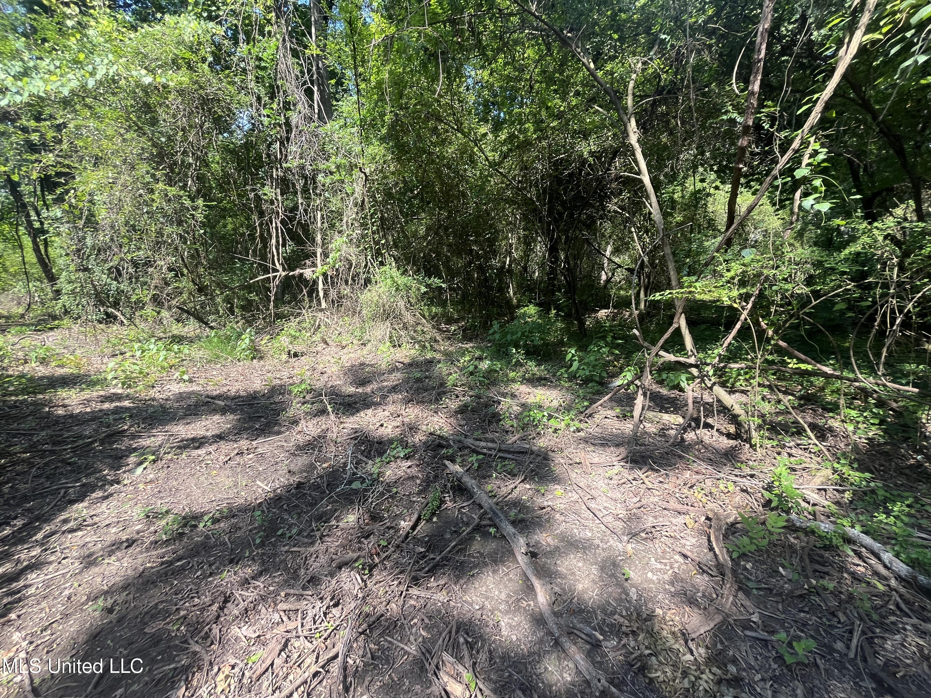 0 West Sunset Drive Brandon, MS 39042 - Photo 11 of 22 IMG_6954