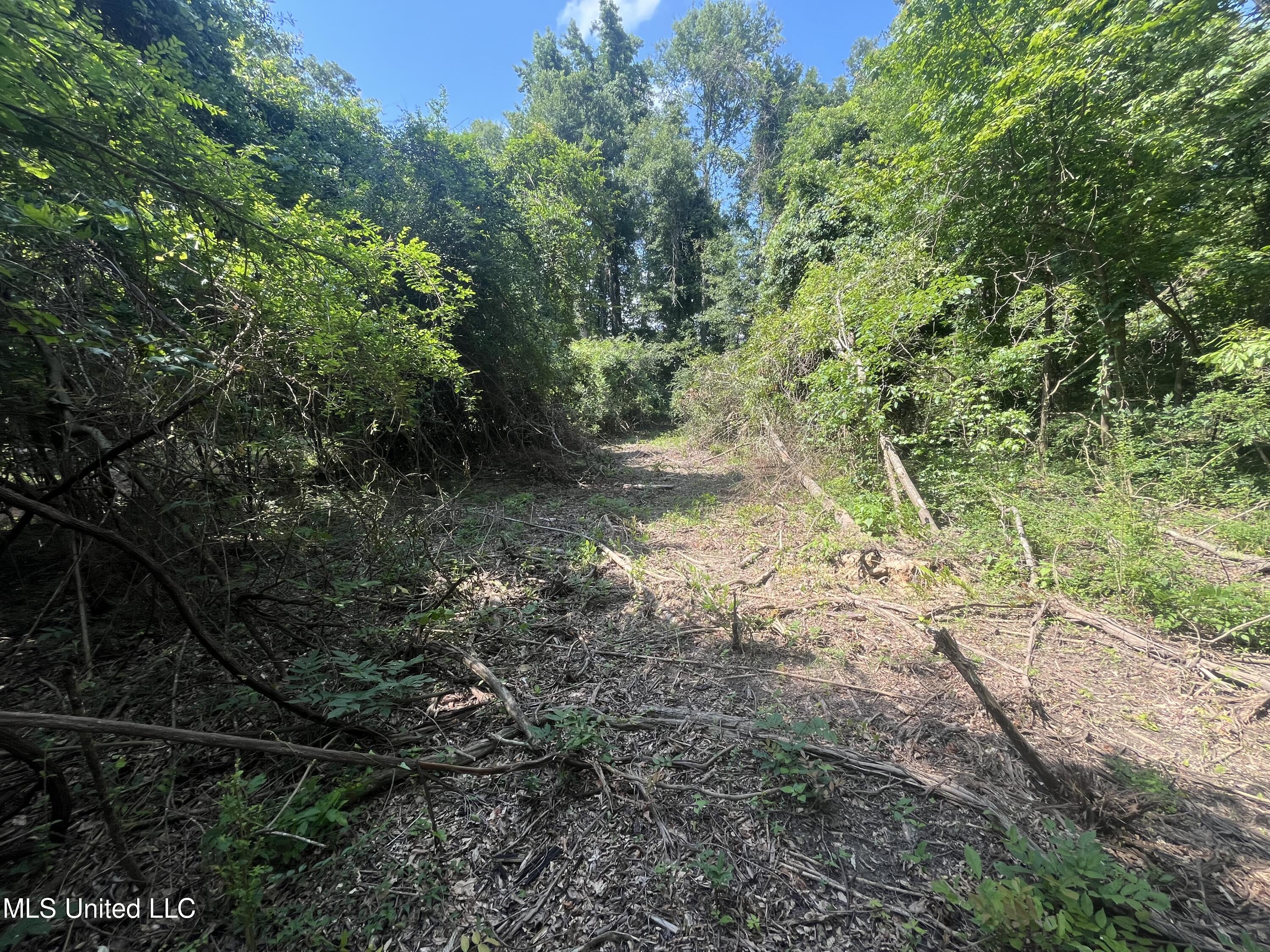 0 West Sunset Drive Brandon, MS 39042 - Photo 12 of 22 IMG_6955