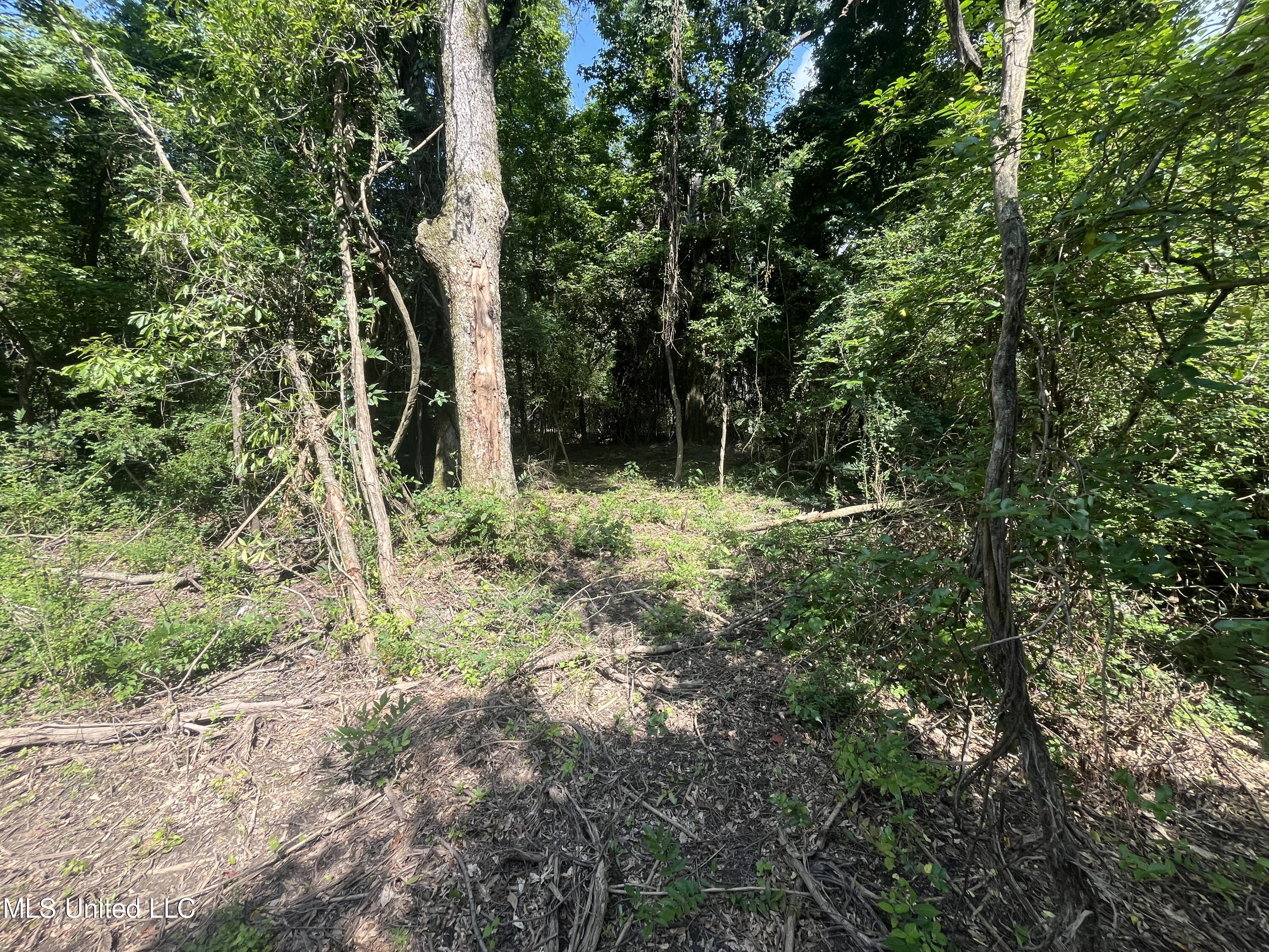 0 West Sunset Drive Brandon, MS 39042 - Photo 13 of 22 IMG_6956