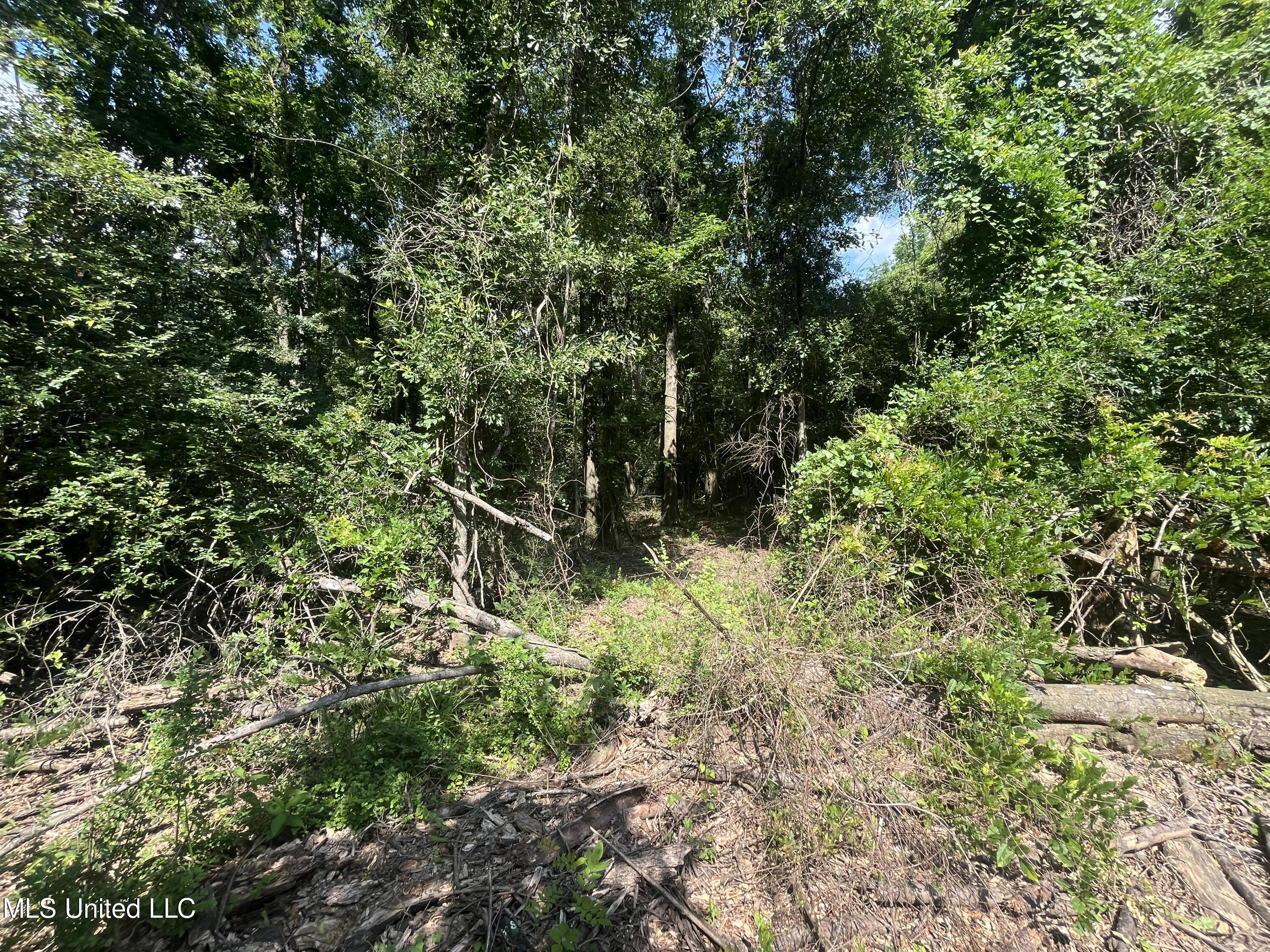 0 West Sunset Drive Brandon, MS 39042 - Photo 14 of 22 IMG_6957