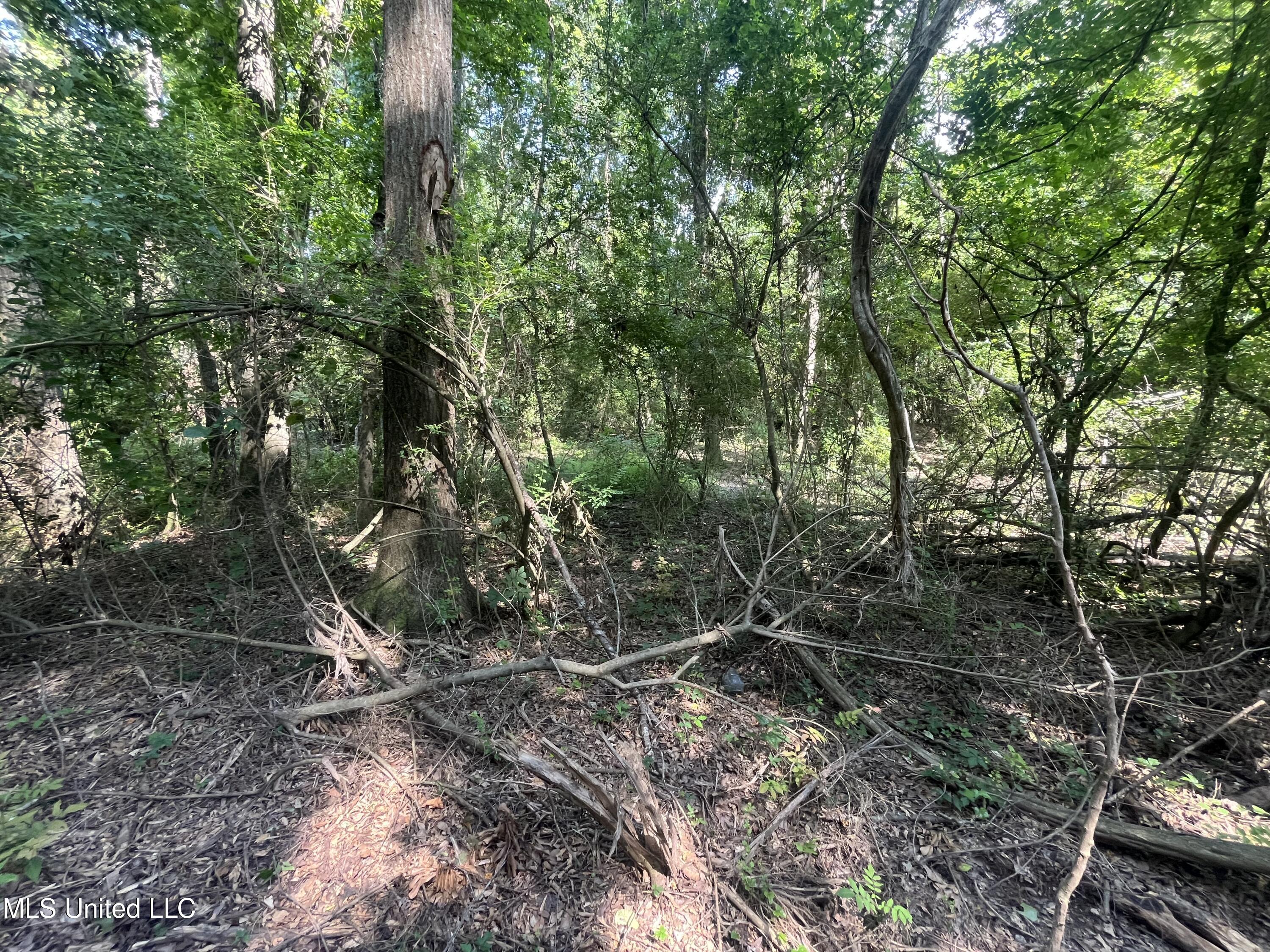 0 West Sunset Drive Brandon, MS 39042 - Photo 15 of 22 IMG_6958