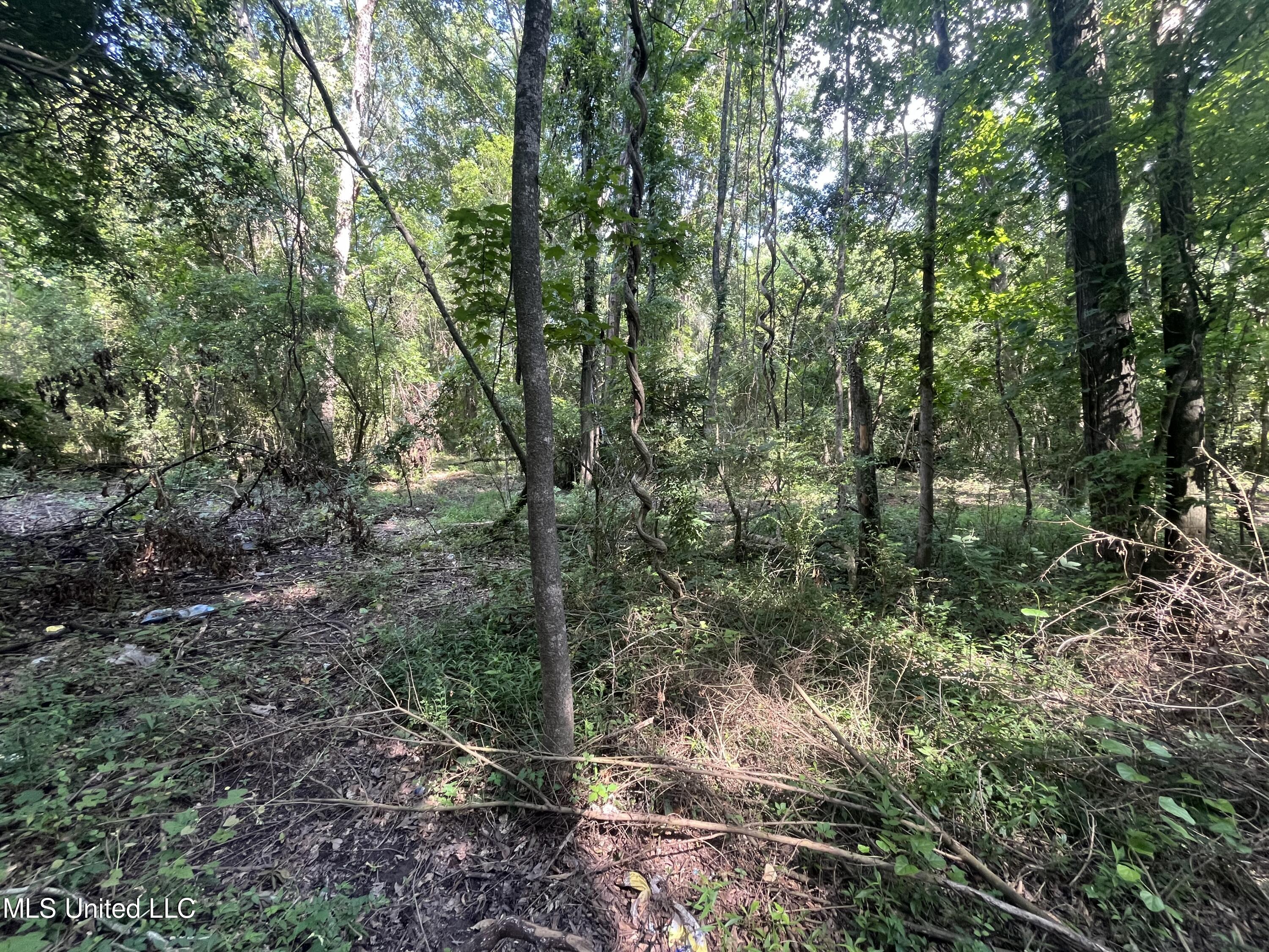 0 West Sunset Drive Brandon, MS 39042 - Photo 16 of 22 IMG_6959