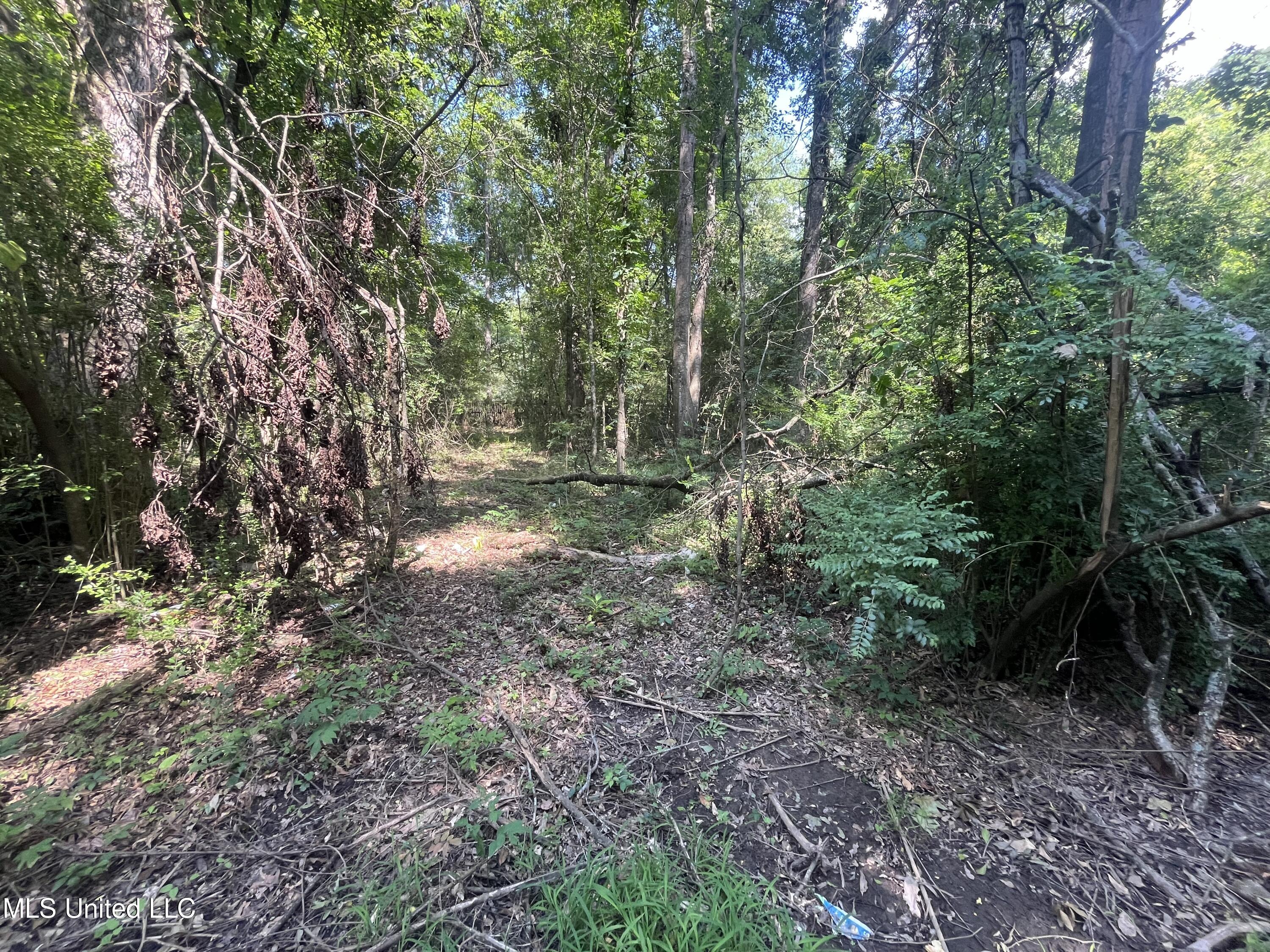 0 West Sunset Drive Brandon, MS 39042 - Photo 17 of 22 IMG_6960