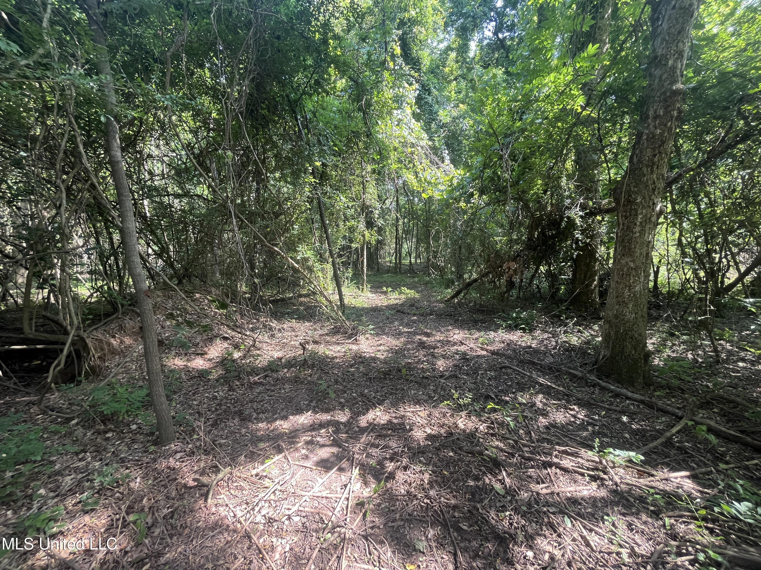 0 West Sunset Drive Brandon, MS 39042 - Photo 18 of 22 IMG_6961