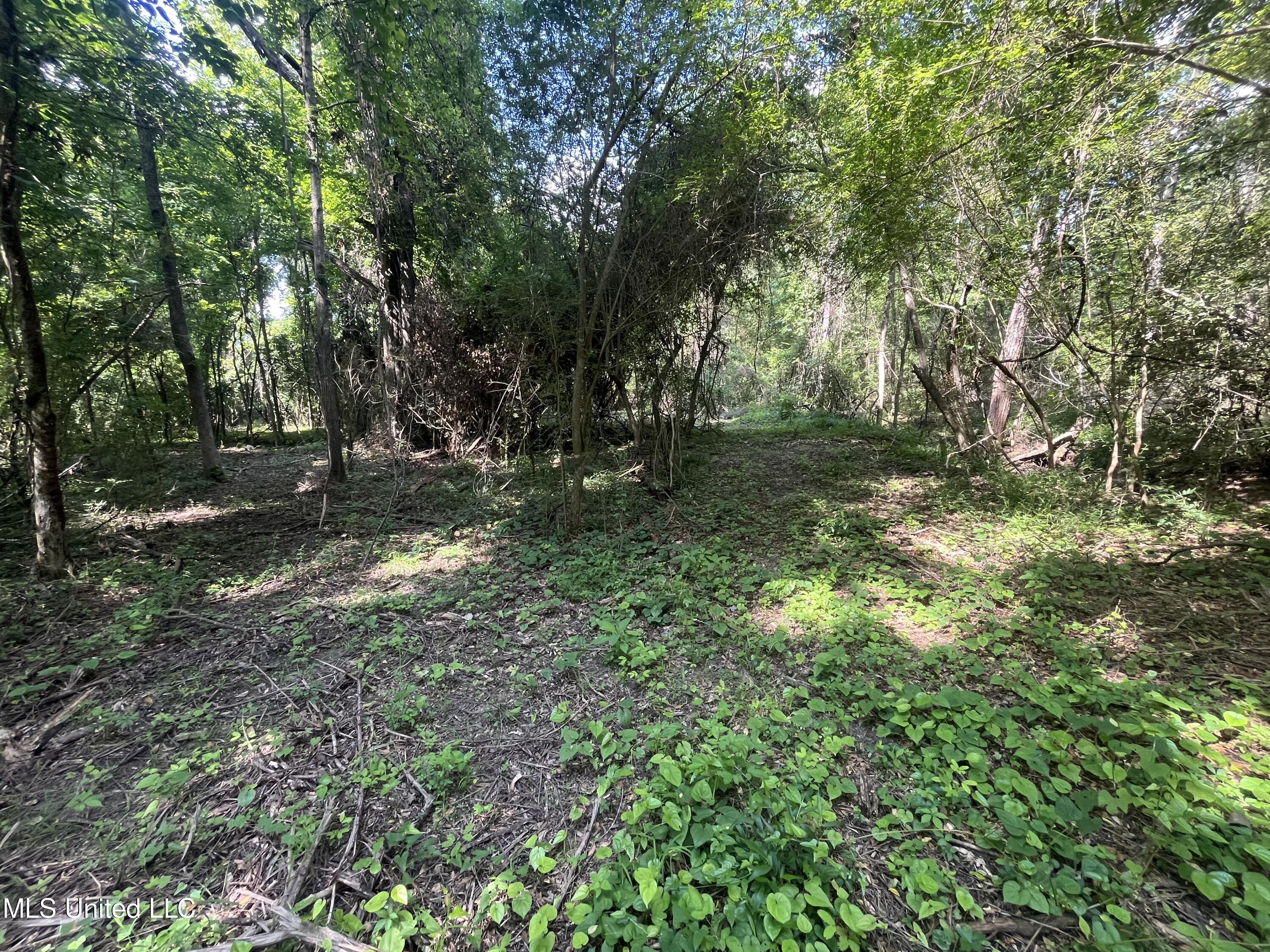 0 West Sunset Drive Brandon, MS 39042 - Photo 19 of 22 IMG_6963