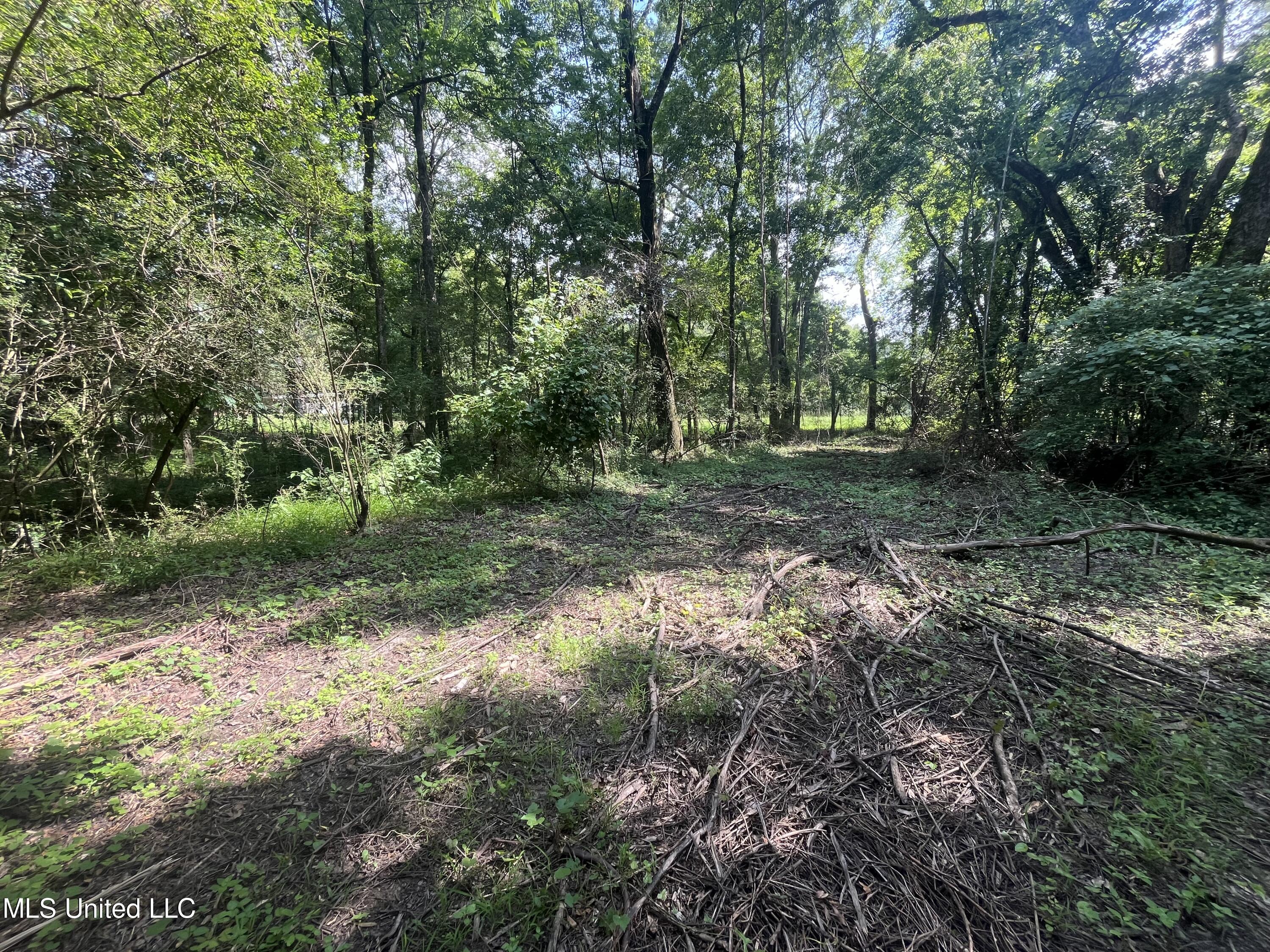 0 West Sunset Drive Brandon, MS 39042 - Photo 20 of 22 IMG_6964