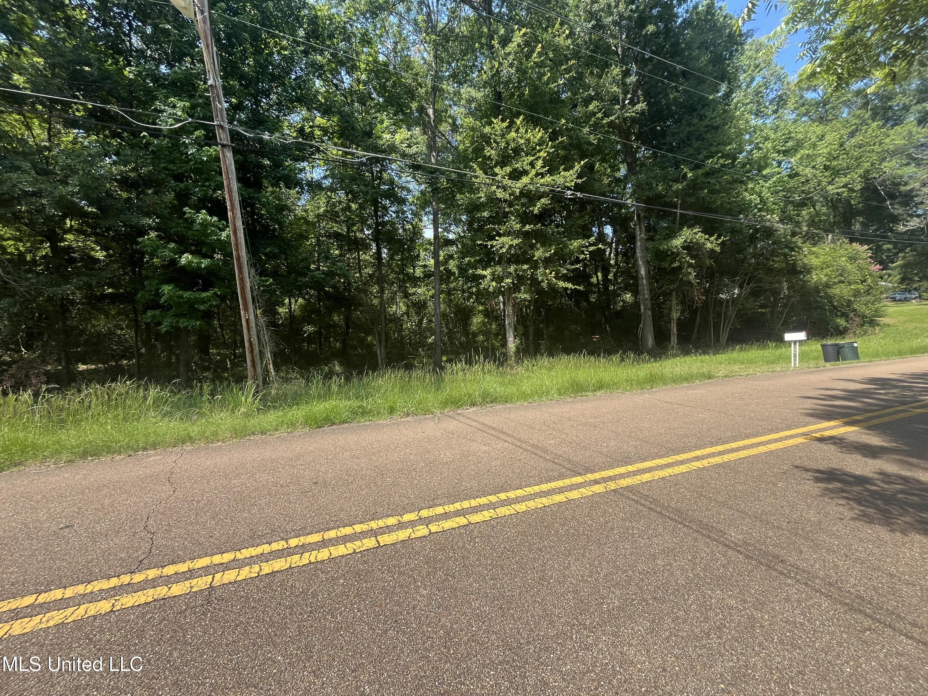 0 West Sunset Drive Brandon, MS 39042 - Photo 3 of 22 IMG_6924