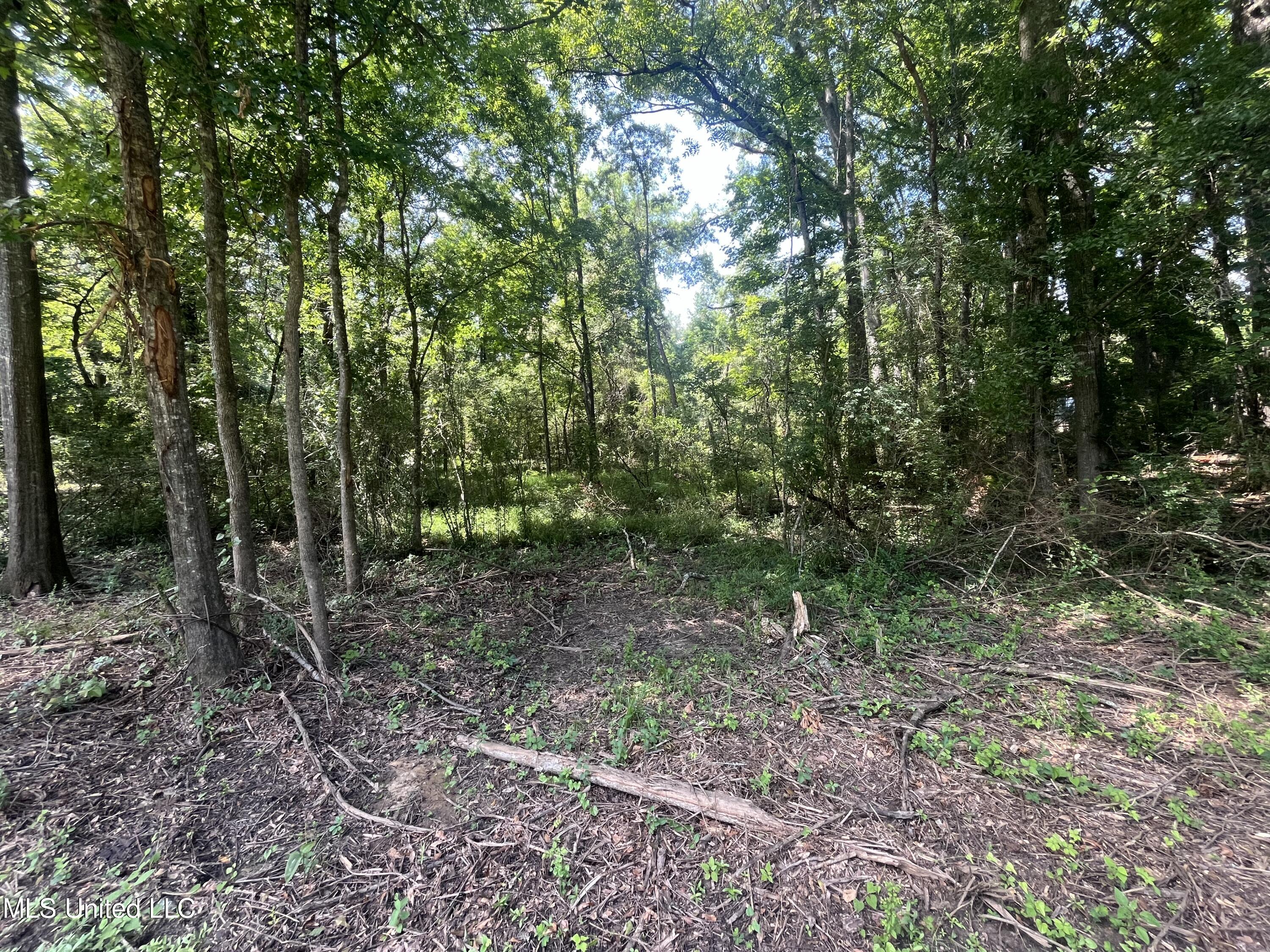 0 West Sunset Drive Brandon, MS 39042 - Photo 4 of 22 IMG_6926