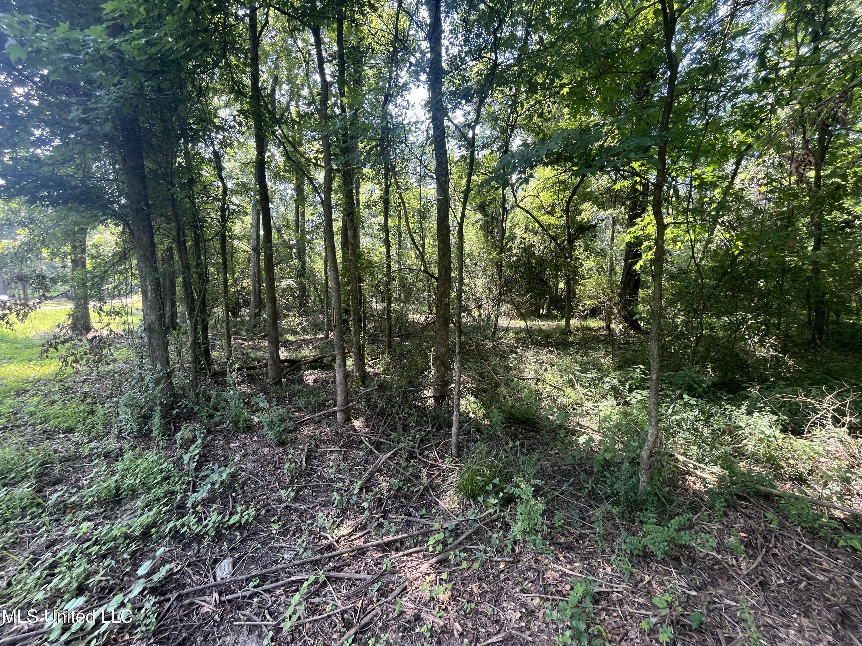 0 West Sunset Drive Brandon, MS 39042 - Photo 5 of 22 IMG_6927