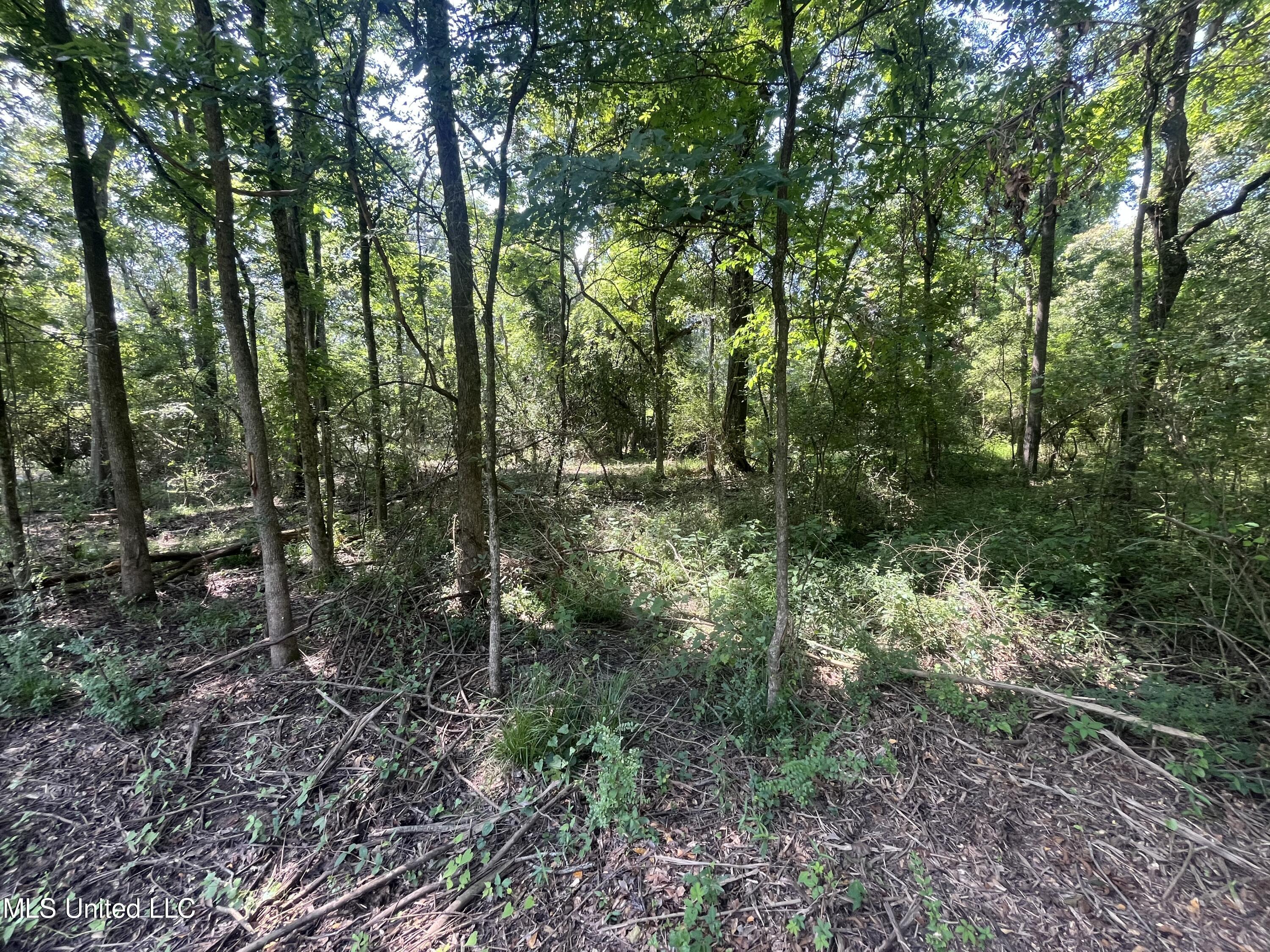 0 West Sunset Drive Brandon, MS 39042 - Photo 6 of 22 IMG_6928